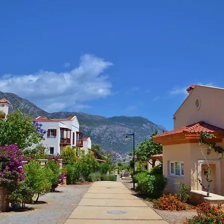Acacia, Lavanta, Kalkan *