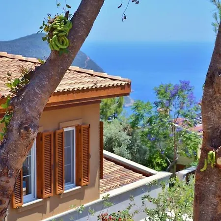 Acacia, Lavanta, Kalkan * Kas