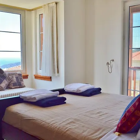 Acacia, Lavanta, Kalkan *