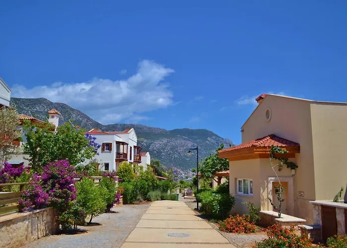 Acacia, Lavanta, Kalkan *